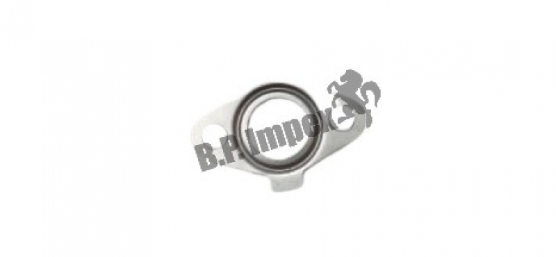 GASKET (FOR ASSEMBLY EGR PIPES)